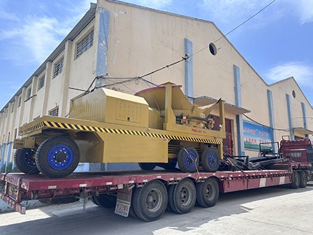 Pakistan Customer Purchased 2T/H Biomass Pellet Machines